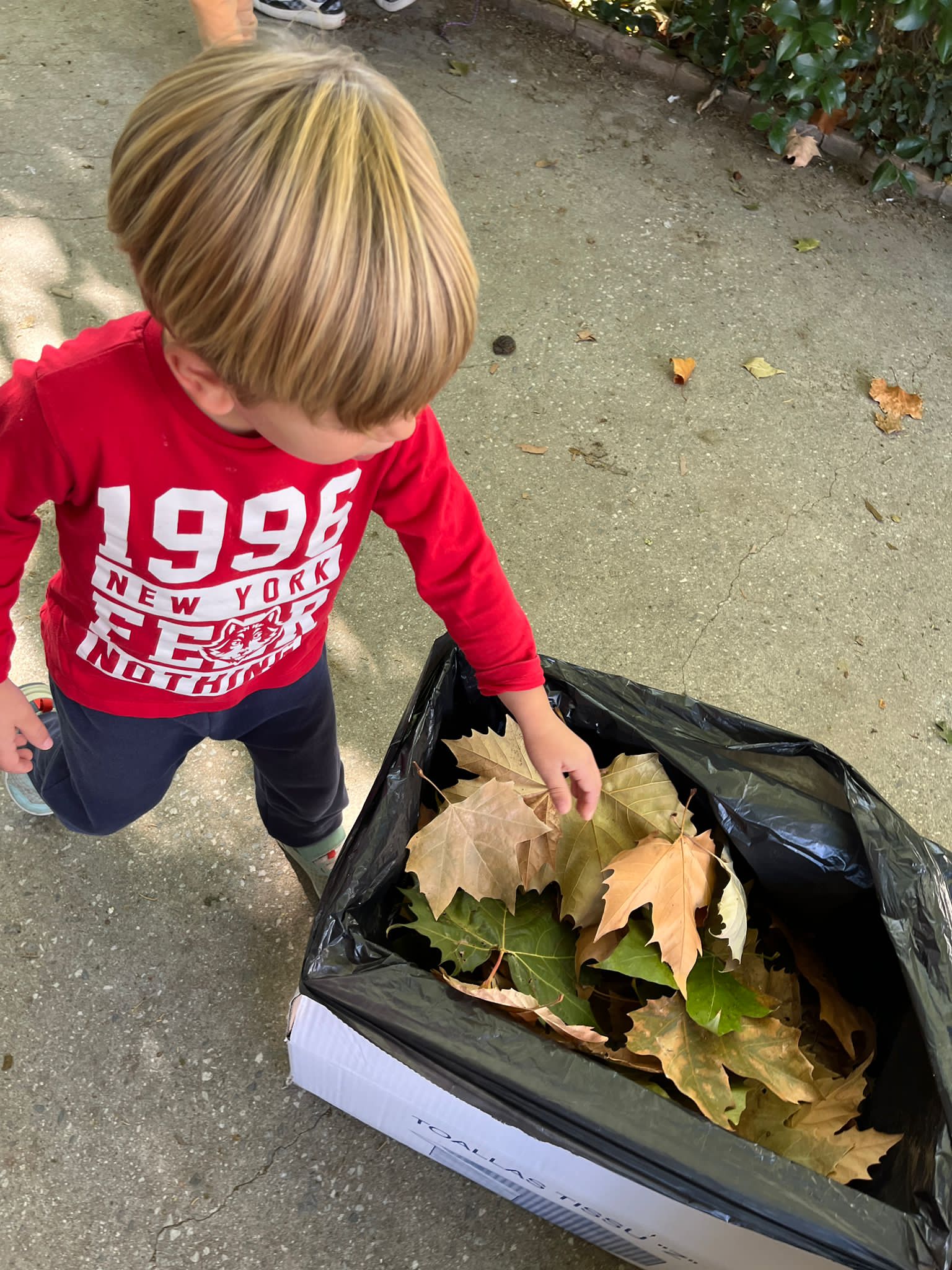 ea7656c1-b7f3-463a-ac27-4193816adc4b 2