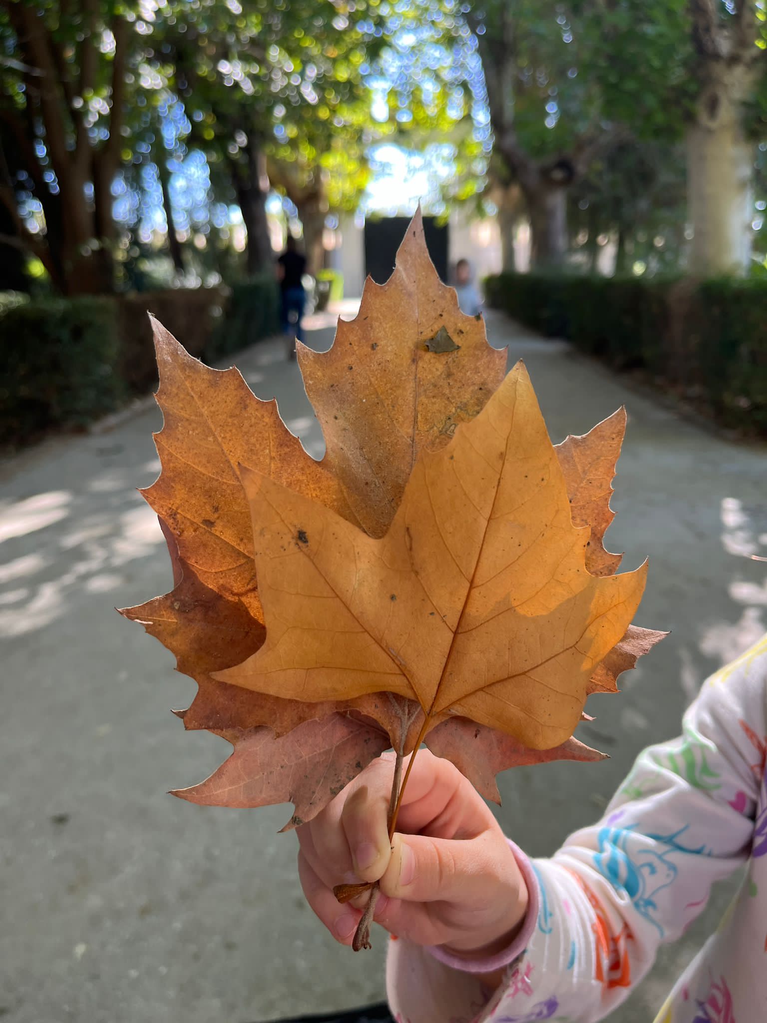 ffa60418-4943-48e4-9686-c7ec6eb5ea6a 2