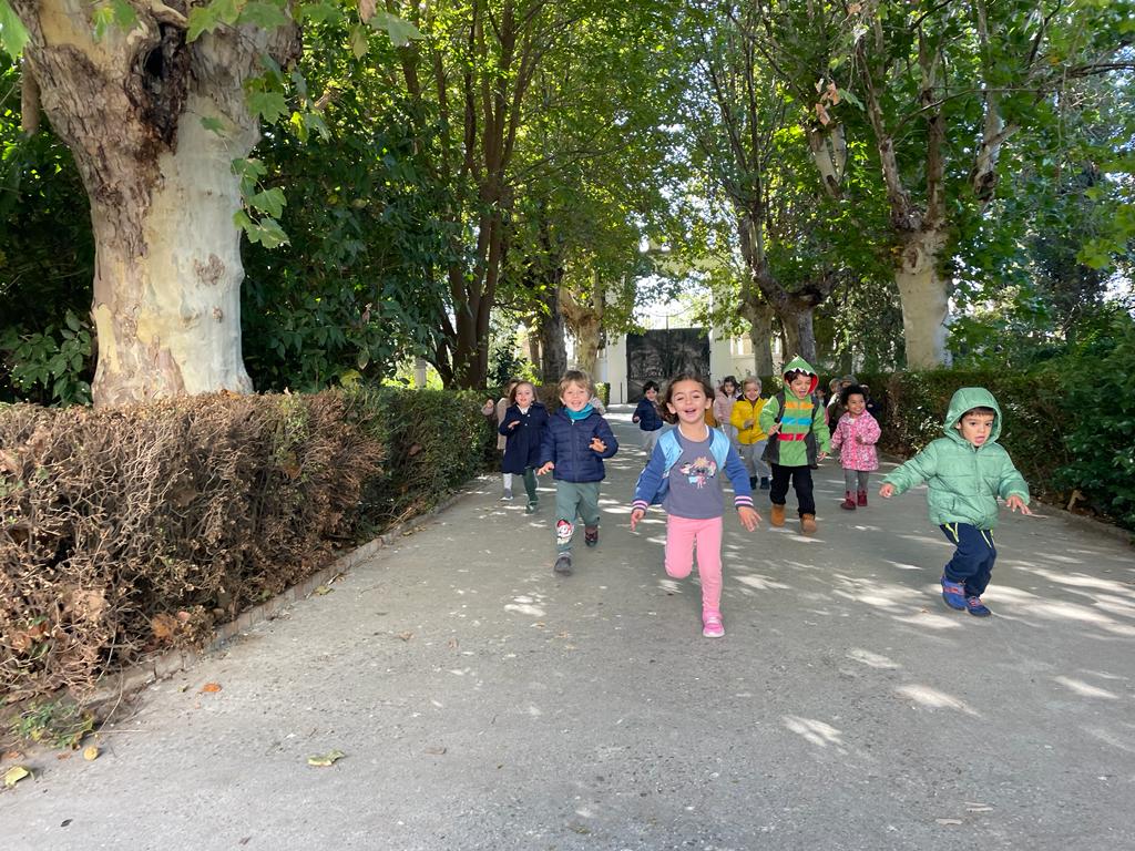 PHOTO-2023-11-08-08-09-46 23