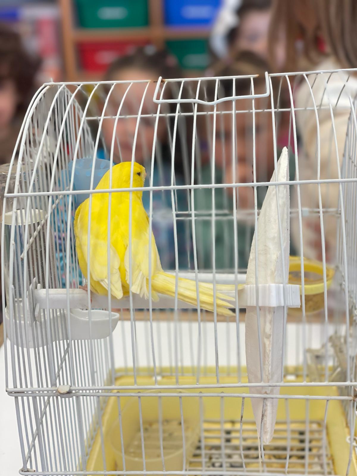 PHOTO-2024-01-29-11-35-29 51