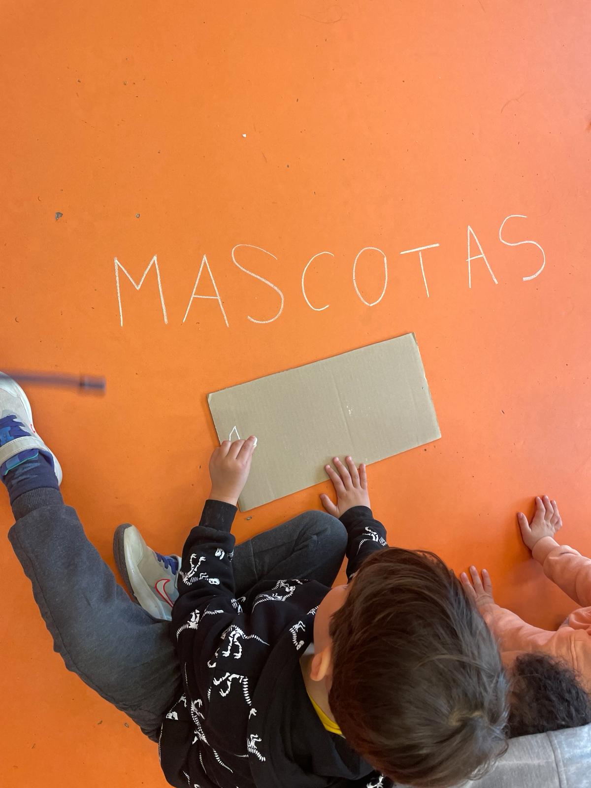 PHOTO-2024-01-29-15-54-13 11