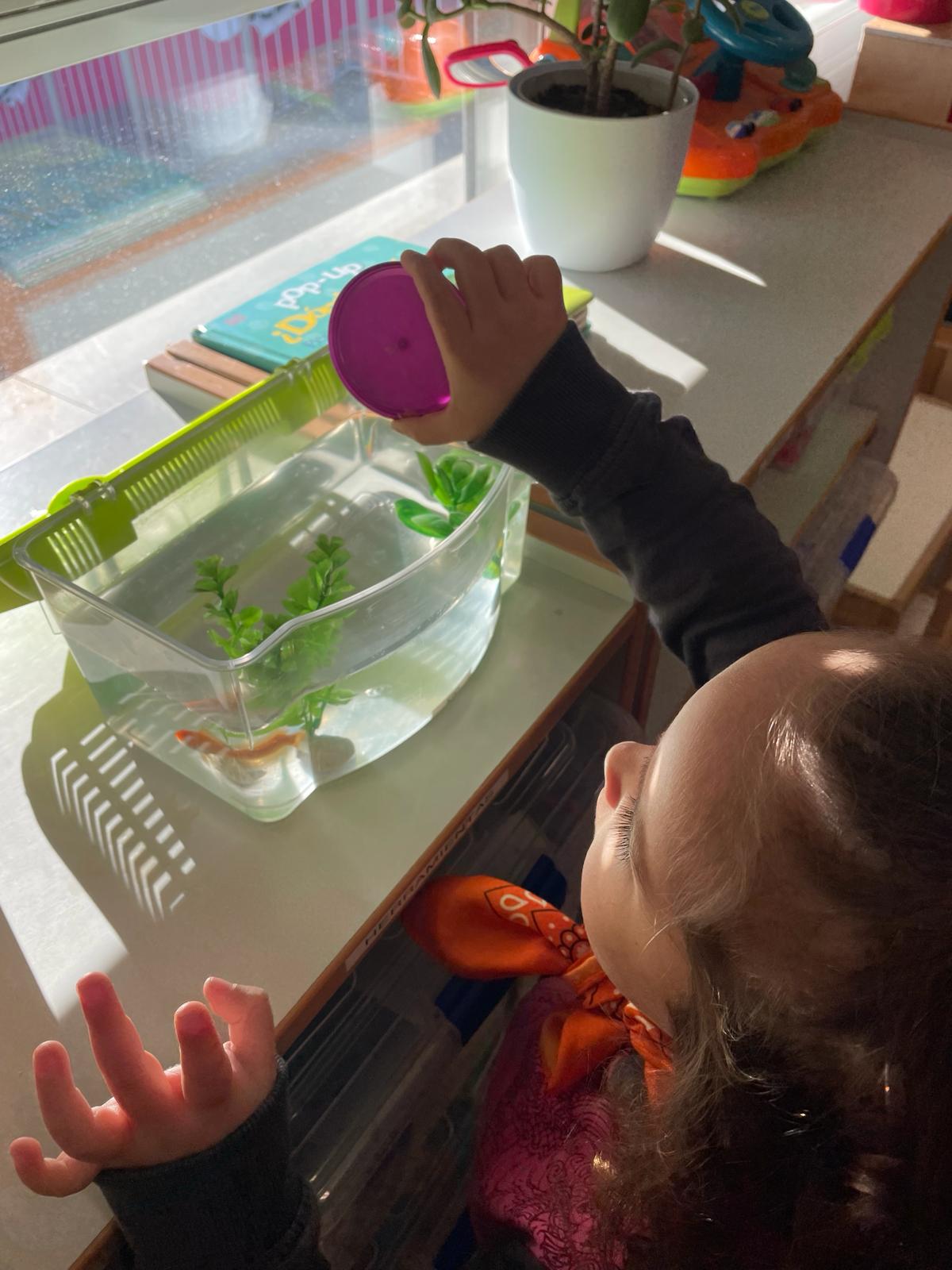 PHOTO-2024-02-19-11-31-16 7