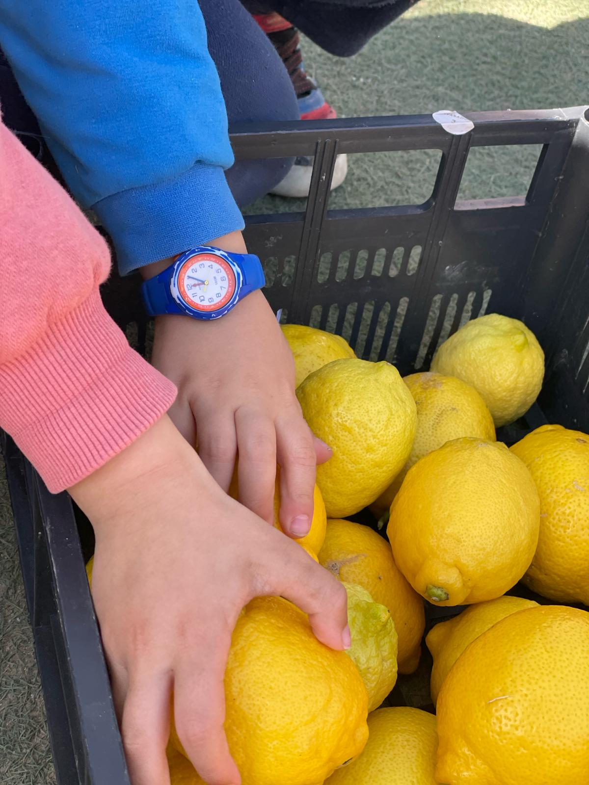 PHOTO-2024-02-21-15-34-17 12