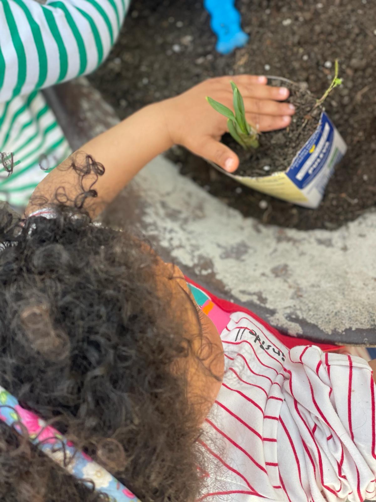 PHOTO-2024-03-15-18-39-33 2