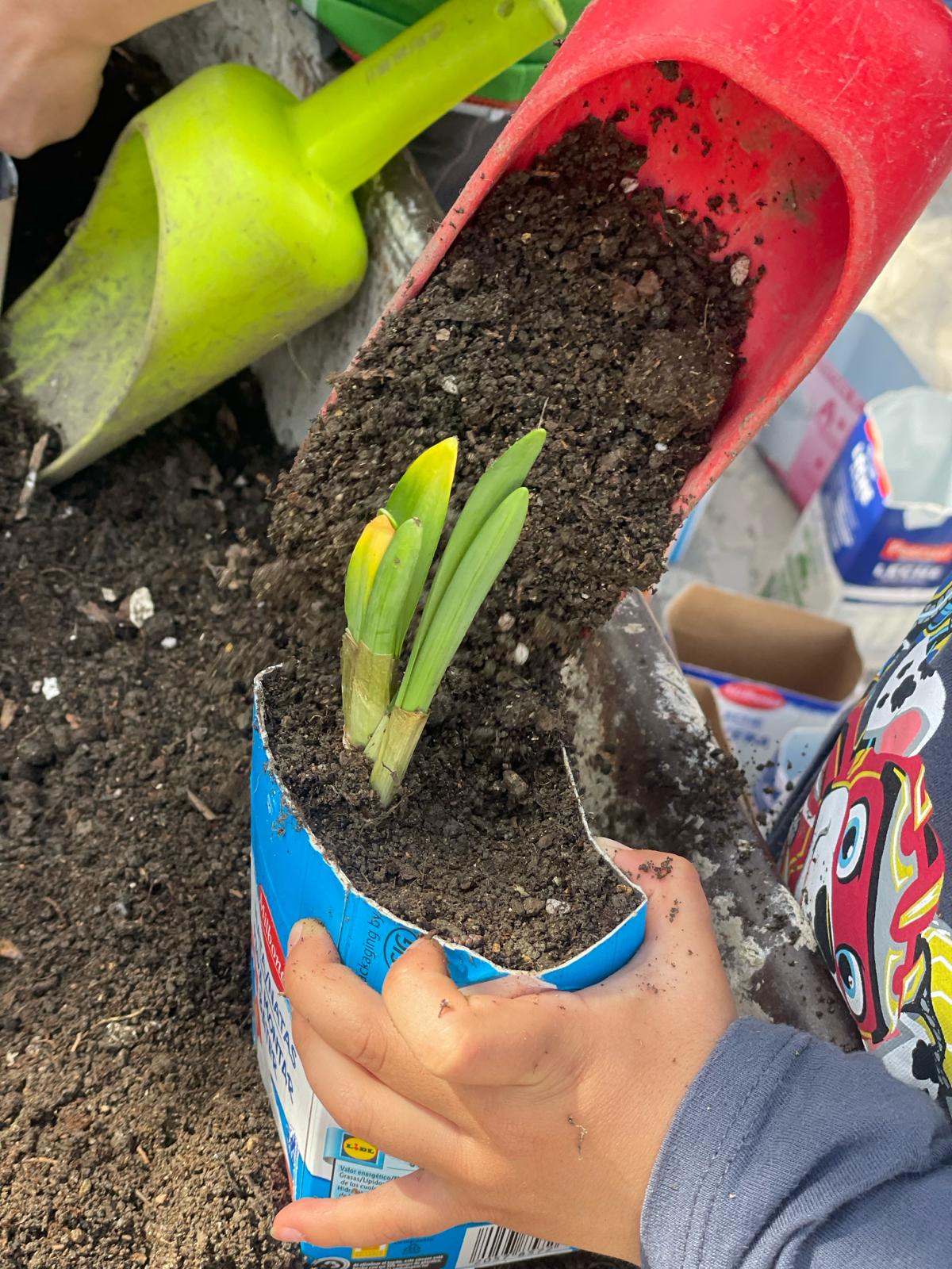 PHOTO-2024-03-15-18-39-33 3