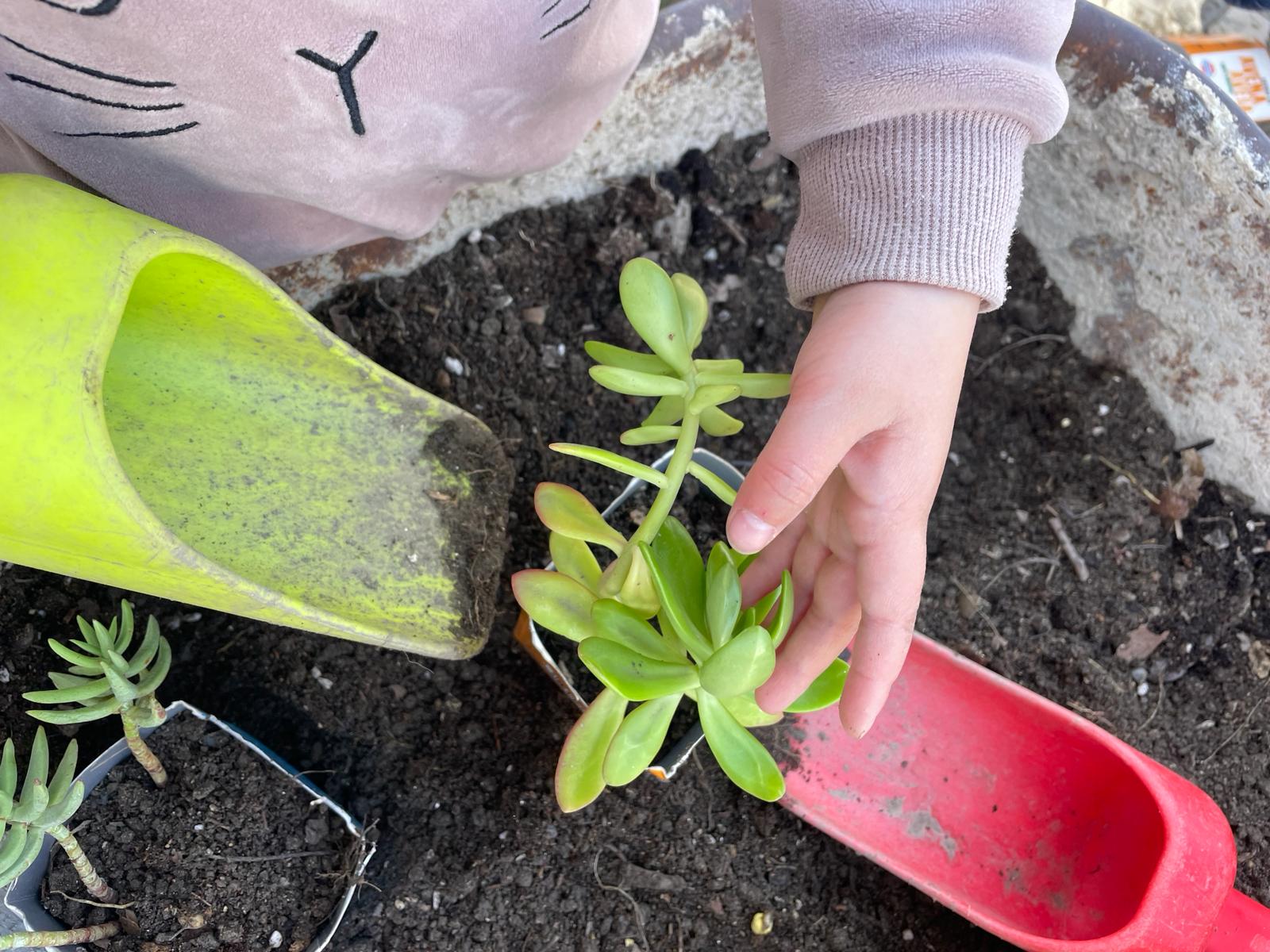 PHOTO-2024-03-15-18-39-33 5