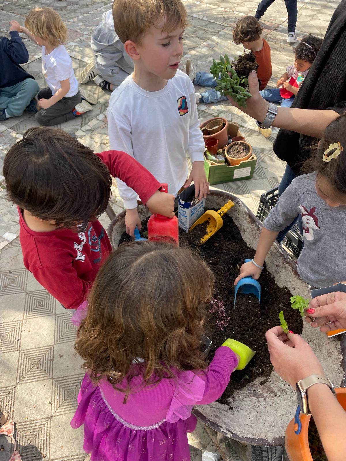 PHOTO-2024-03-15-18-39-33 8