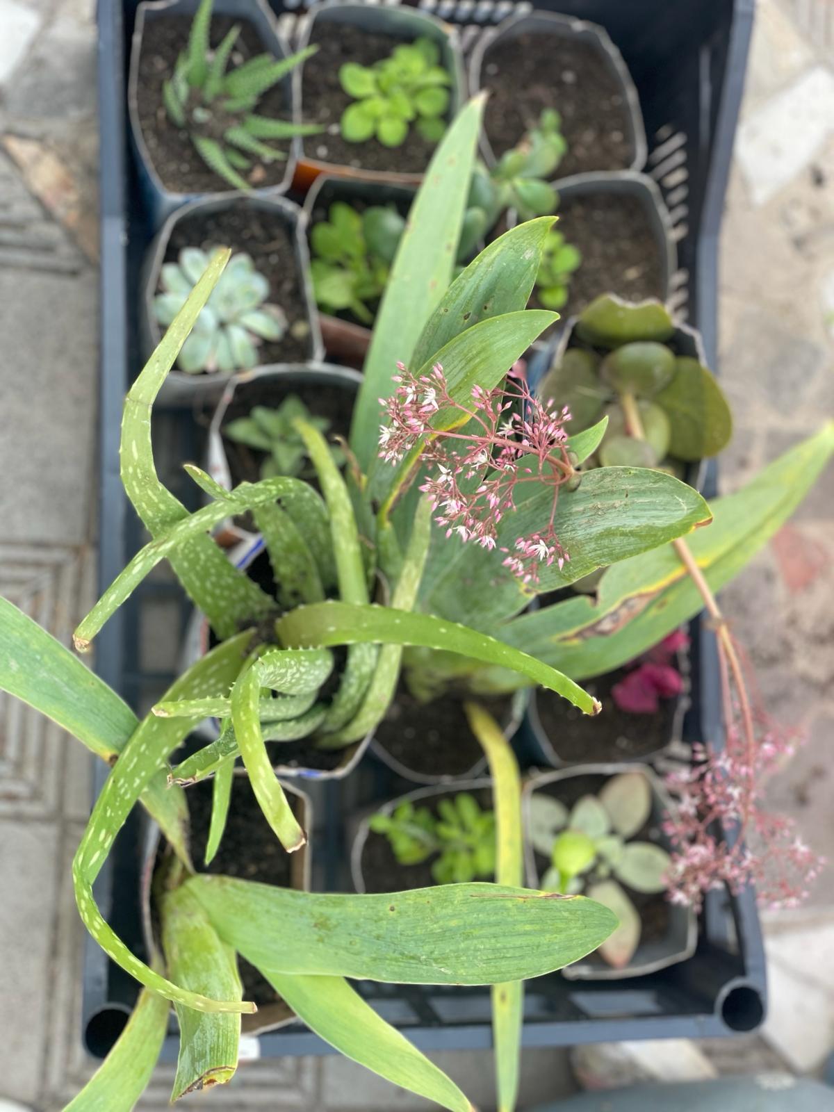 PHOTO-2024-03-15-18-39-33 9