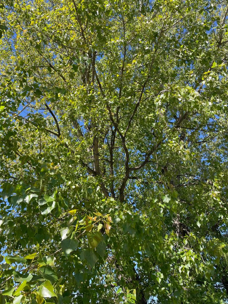 PHOTO-2024-04-09-22-42-59 10