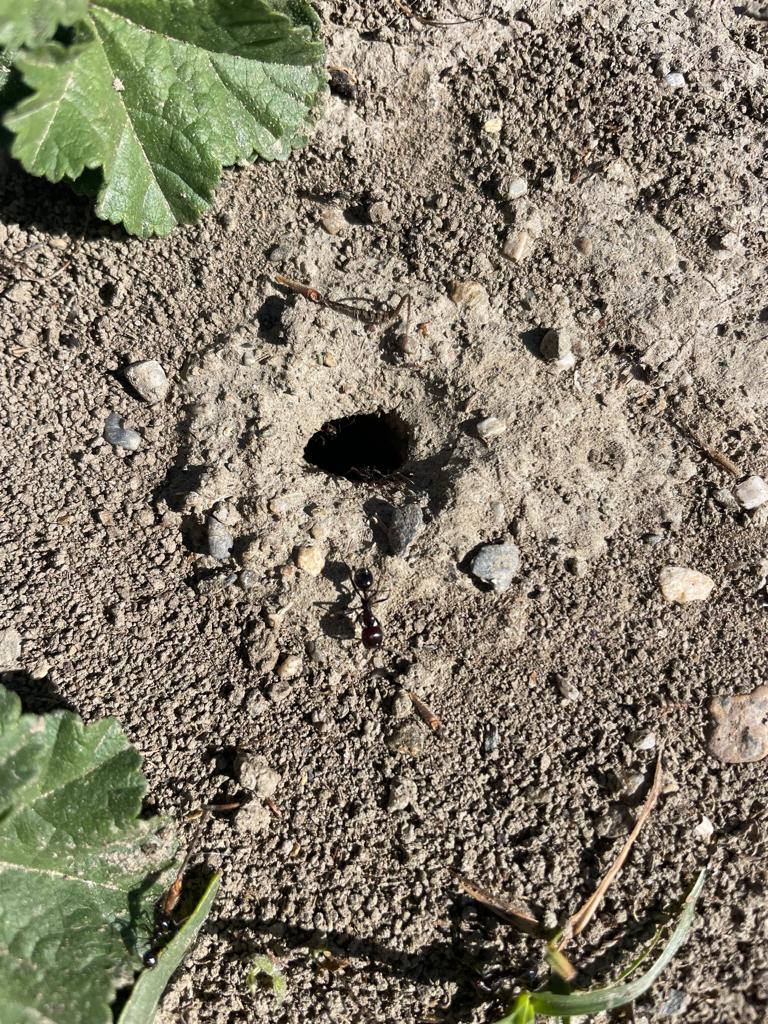 PHOTO-2024-04-09-22-42-59