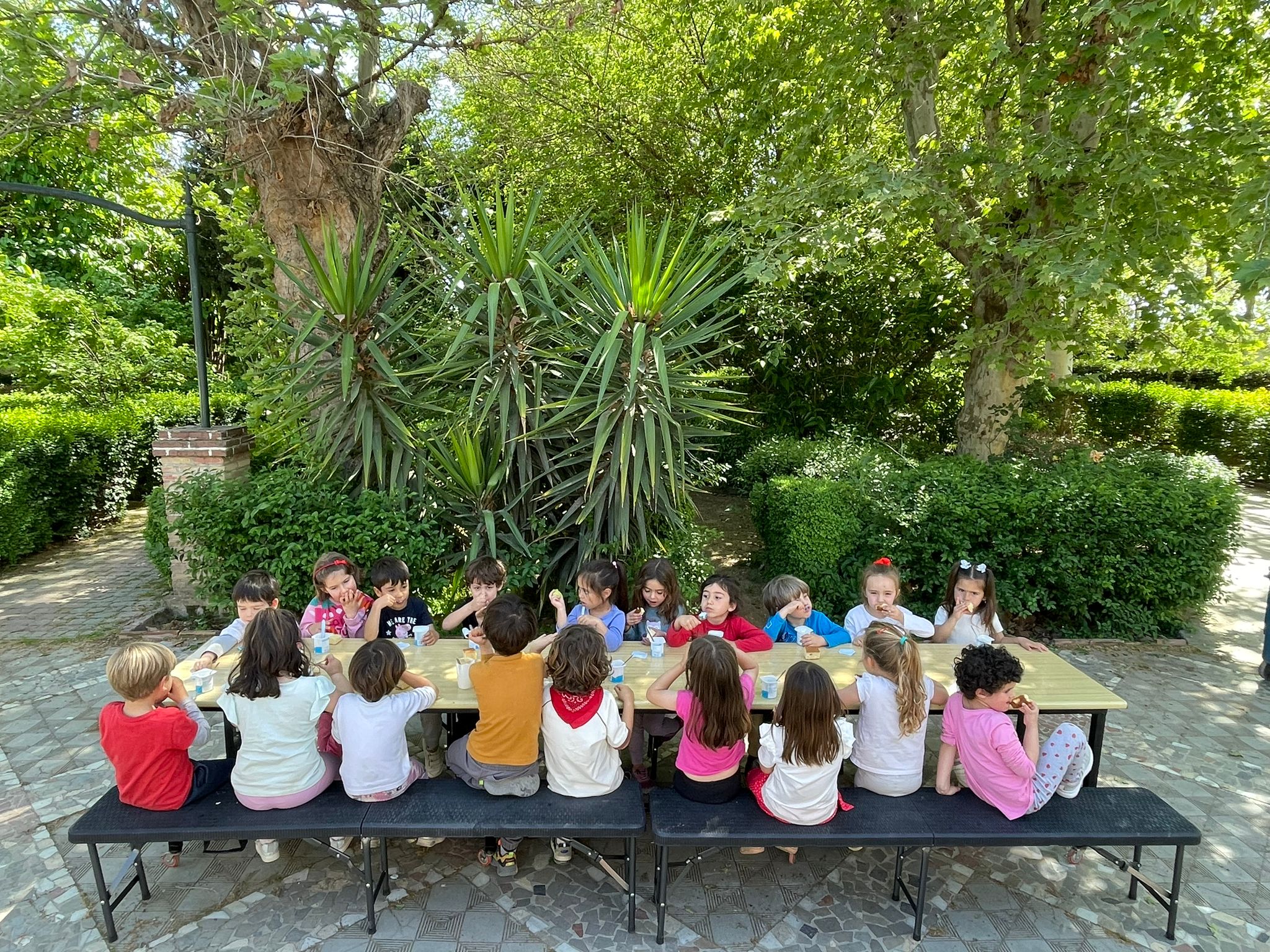 PHOTO-2024-04-12-21-53-36 10