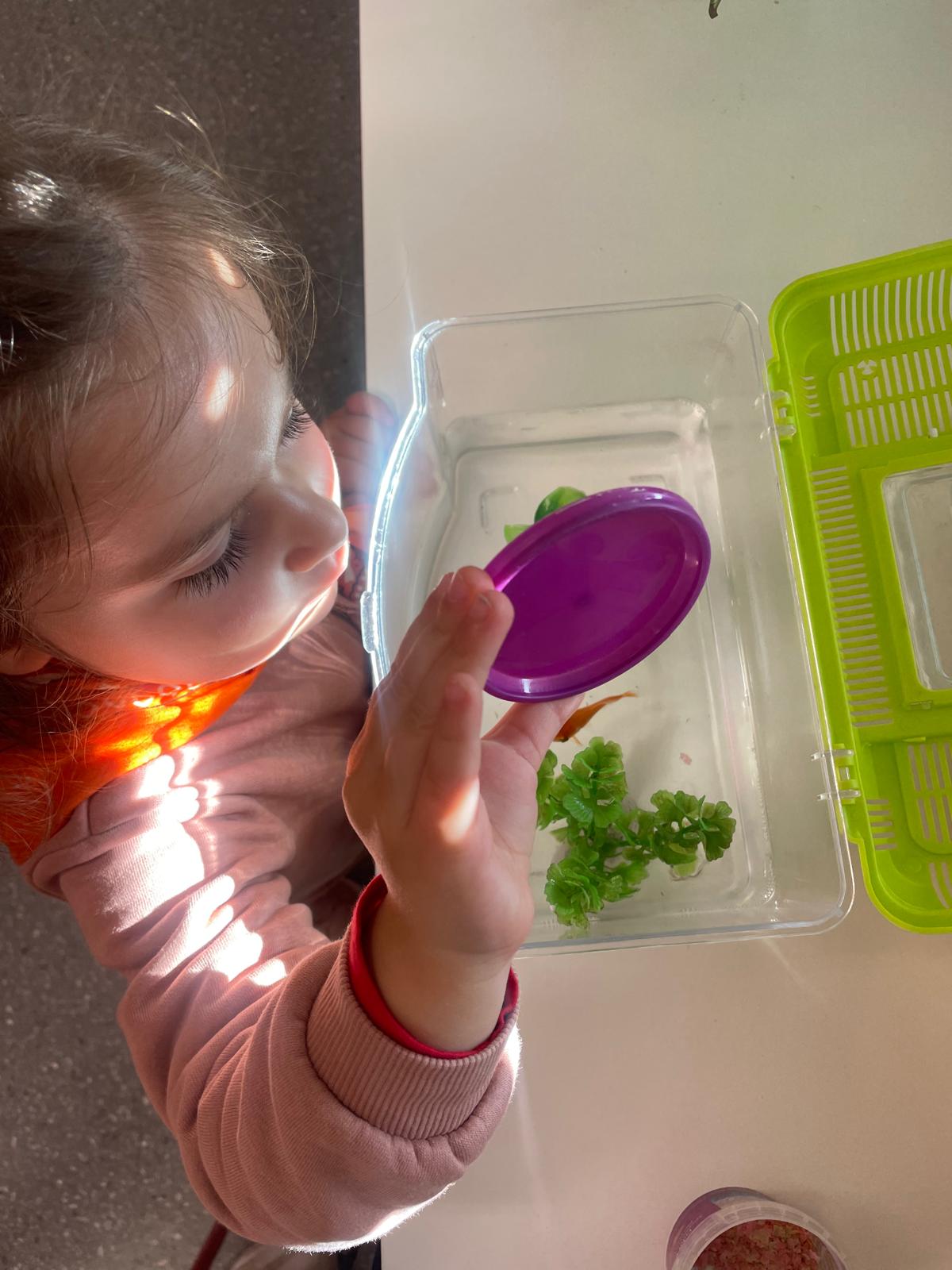 PHOTO-2024-04-12-21-53-36 6