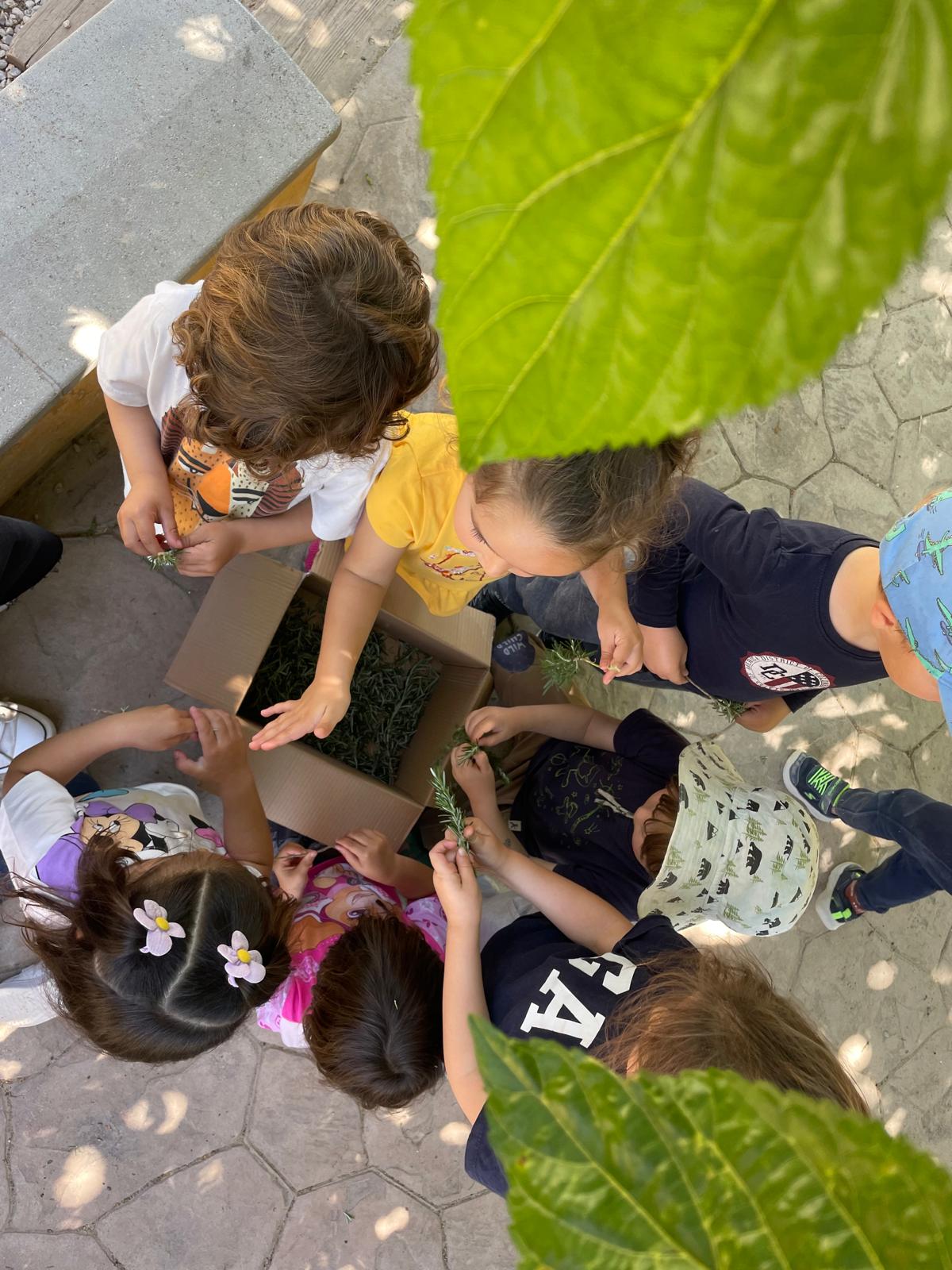 PHOTO-2024-04-19-11-19-32 2