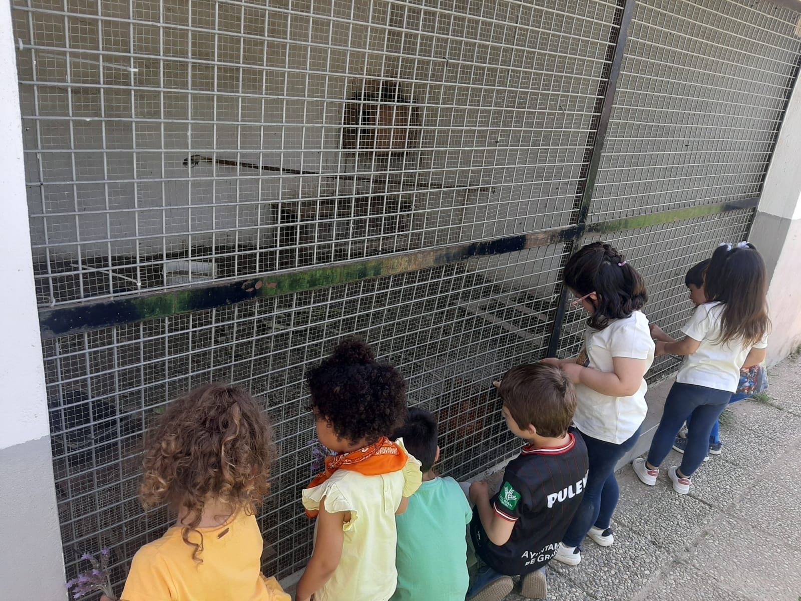 PHOTO-2024-04-19-11-19-32 5