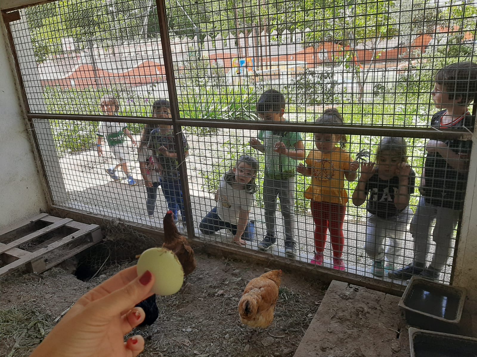 PHOTO-2024-04-19-11-19-32 7