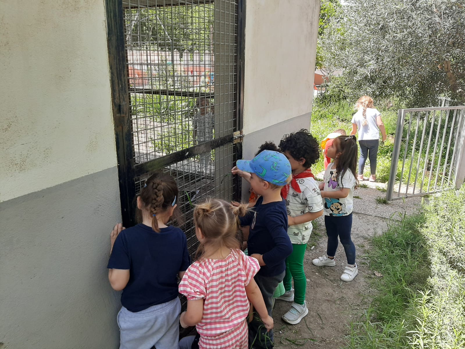 PHOTO-2024-04-19-11-19-32 8