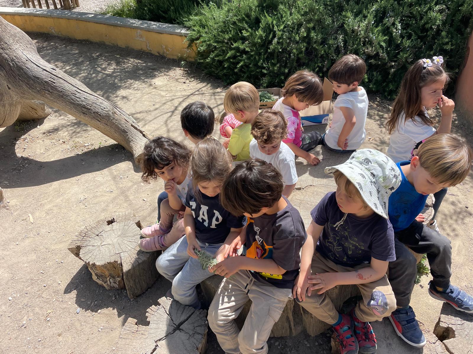 PHOTO-2024-04-19-11-19-32