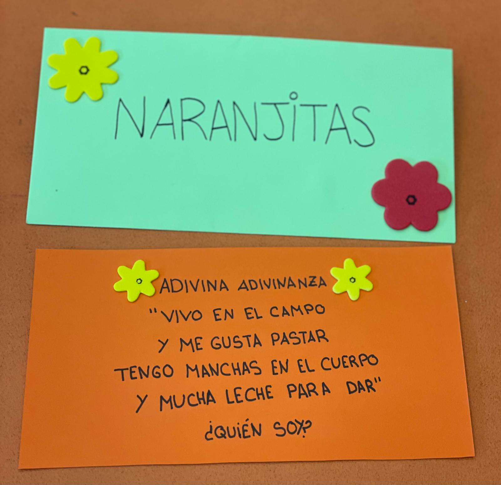 PHOTO-2024-05-10-13-27-40 2