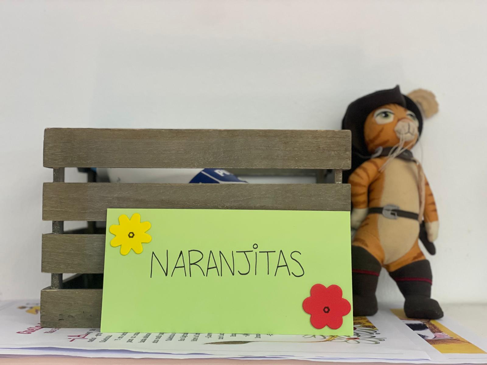 PHOTO-2024-05-10-13-27-40