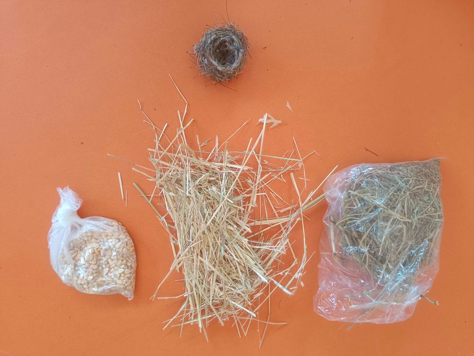 PHOTO-2024-05-10-16-37-44 3