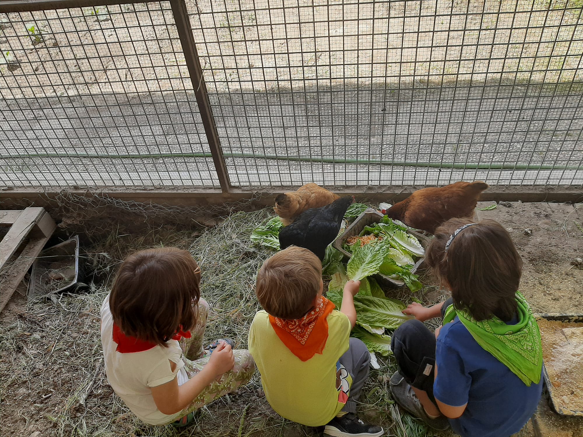 PHOTO-2024-05-13-19-01-50