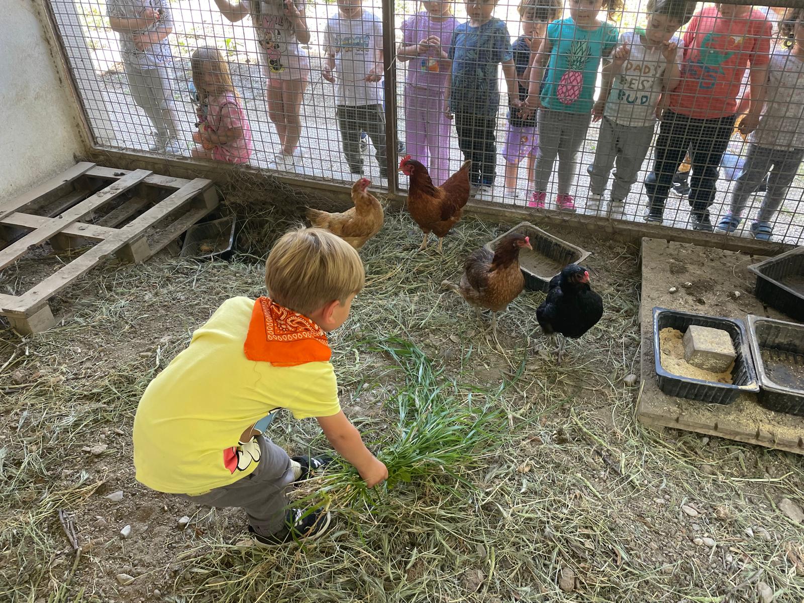 PHOTO-2024-05-14-21-08-58