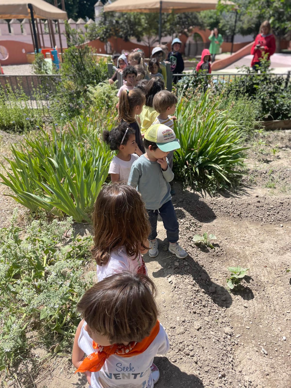 PHOTO-2024-05-17-22-04-25 5