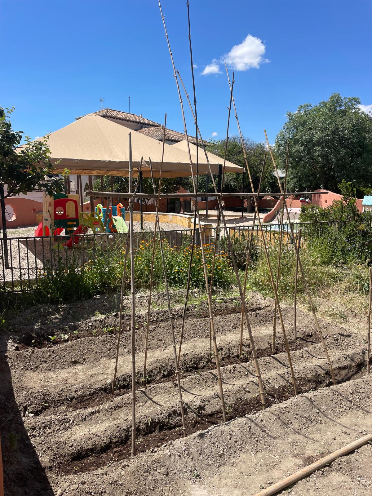 PHOTO-2024-05-17-22-04-25 6