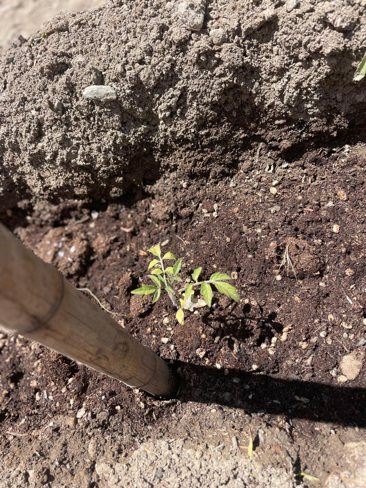 PHOTO-2024-05-17-22-04-25 7