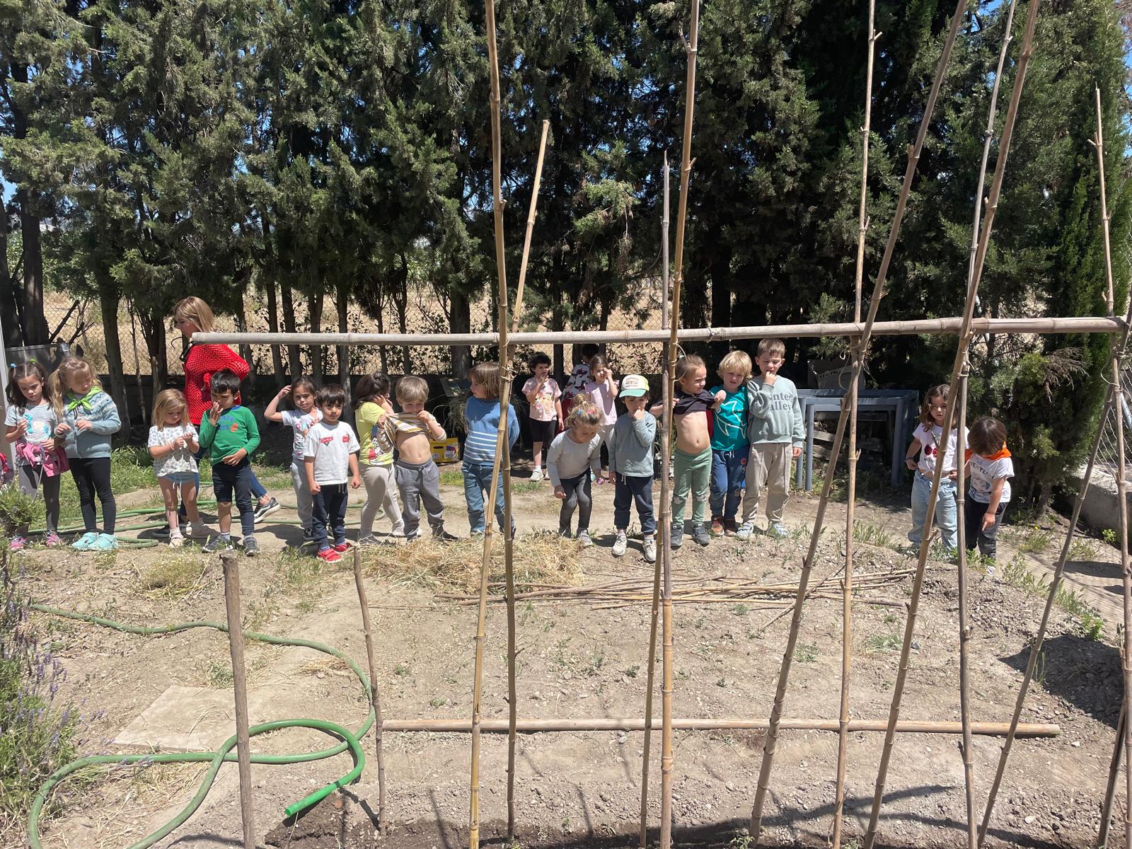 PHOTO-2024-05-17-22-04-25 8