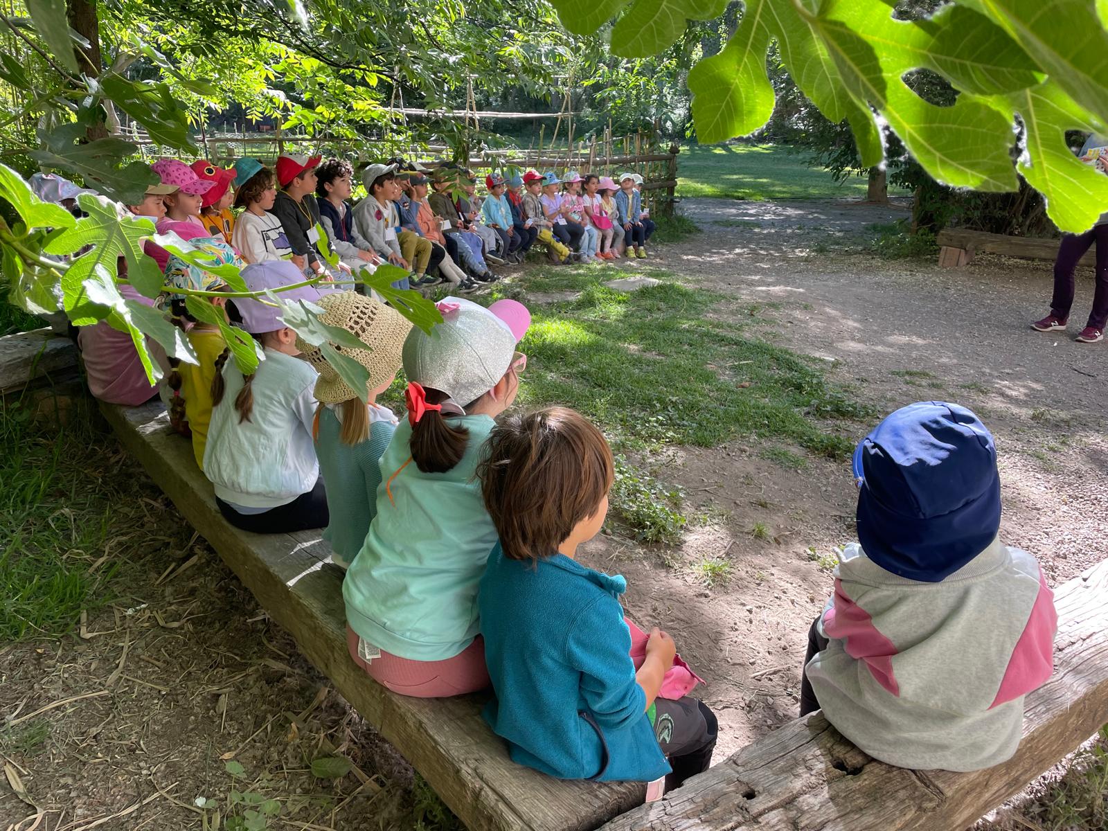 PHOTO-2024-05-22-19-16-56 2