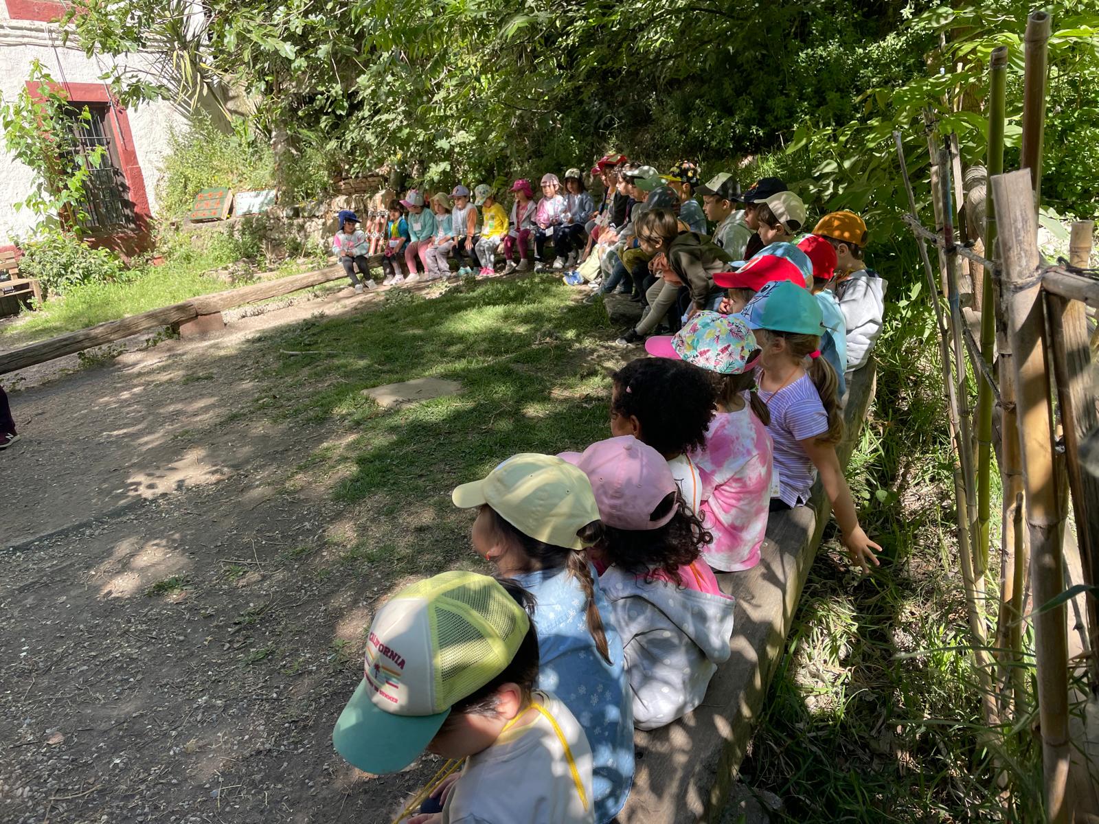 PHOTO-2024-05-22-19-16-56 3