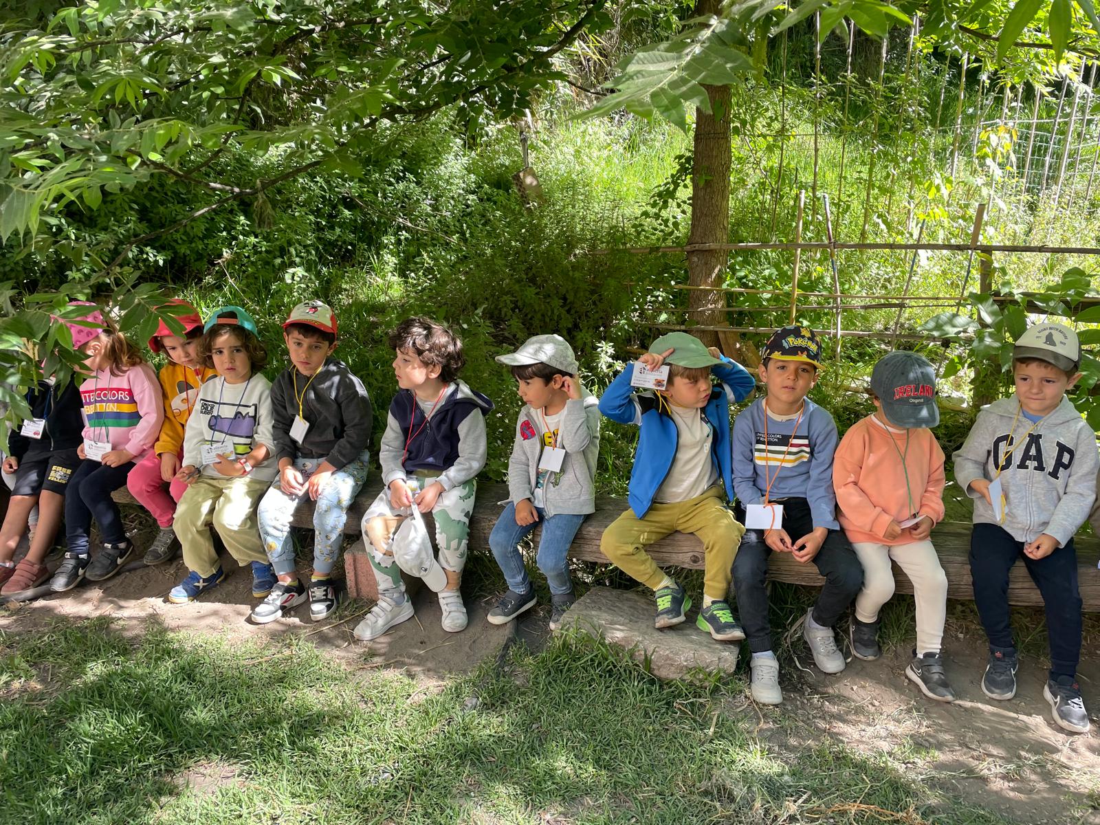 PHOTO-2024-05-22-19-16-56 6