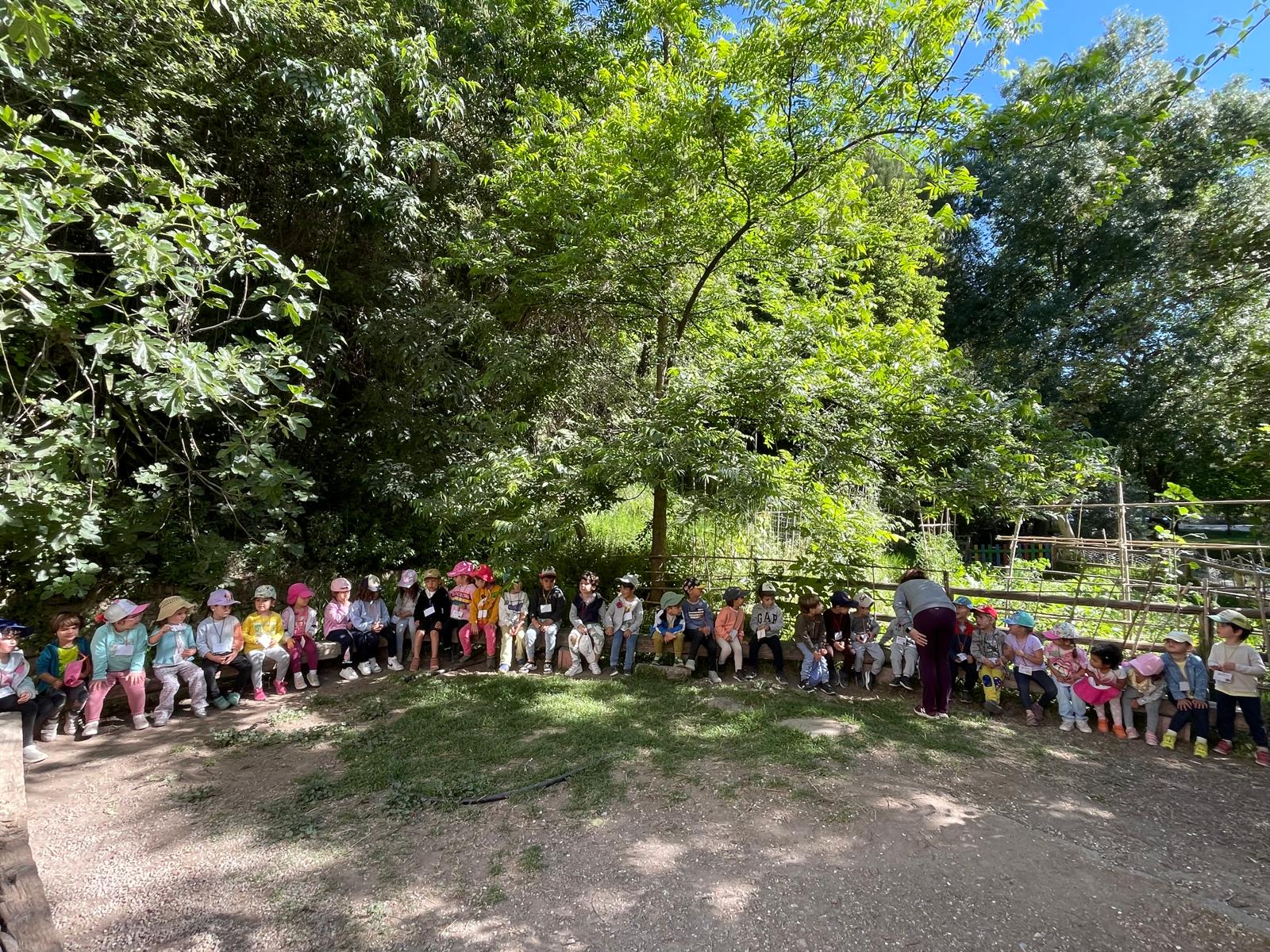 PHOTO-2024-05-22-19-16-56