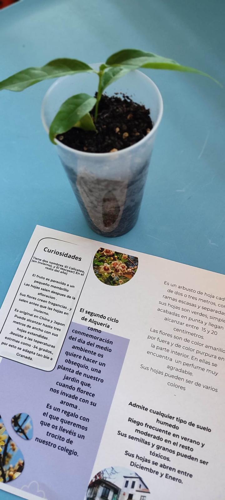 PHOTO-2024-06-05-18-17-05 13