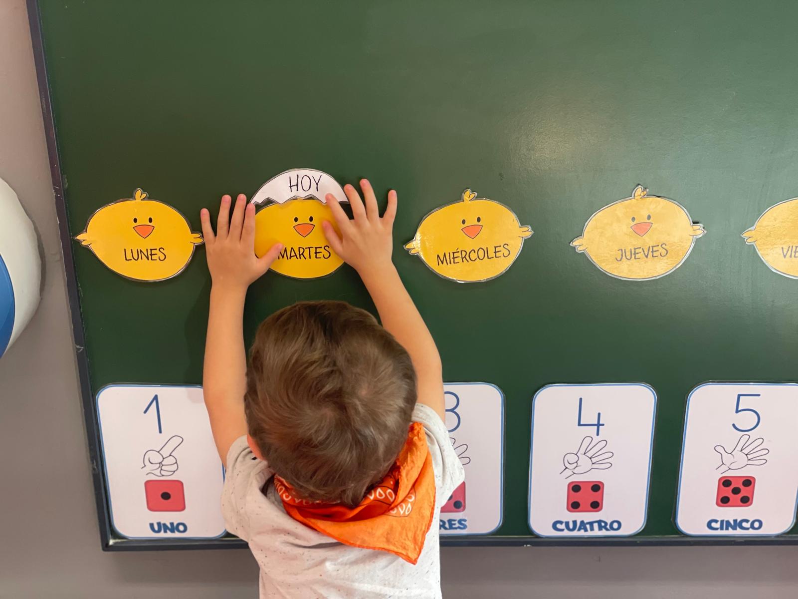 PHOTO-2024-09-18-15-48-05 7