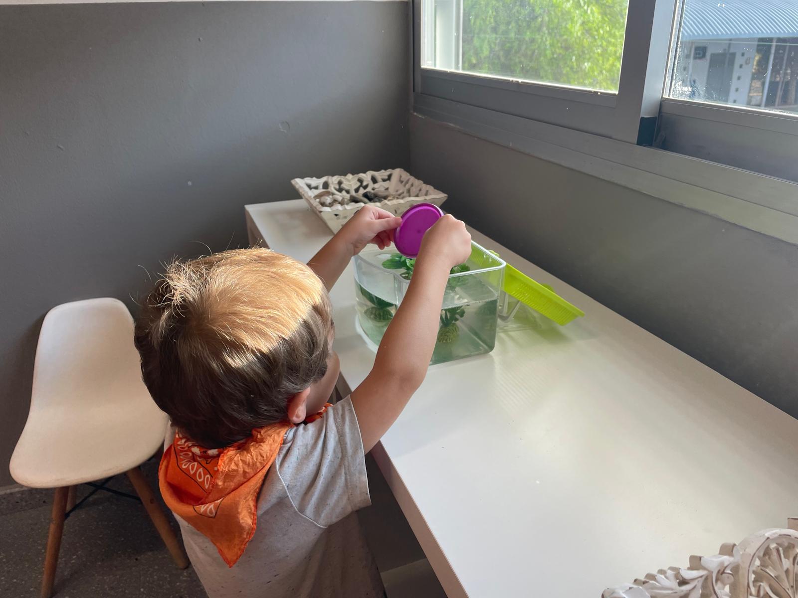 PHOTO-2024-09-18-15-48-05 8