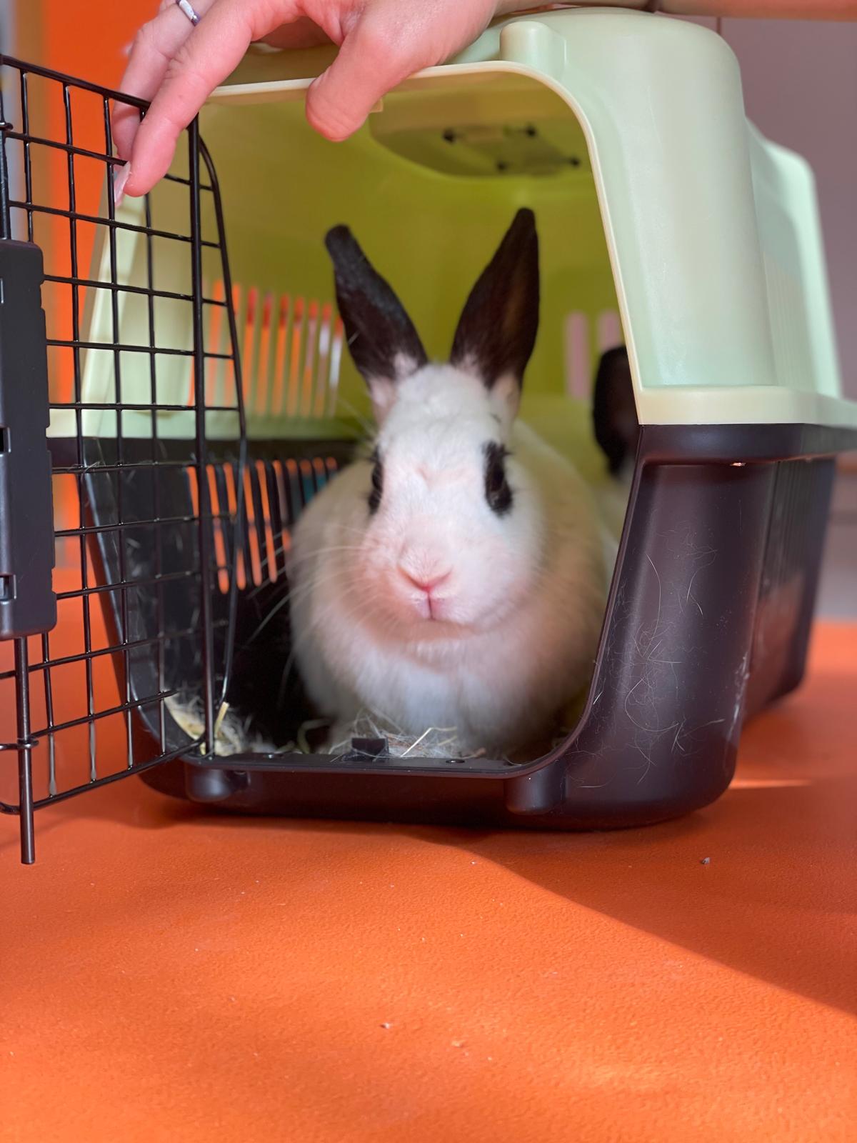 PHOTO-2024-09-20-10-15-54 3 PHOTO-2024-09-20-10-15-54 3