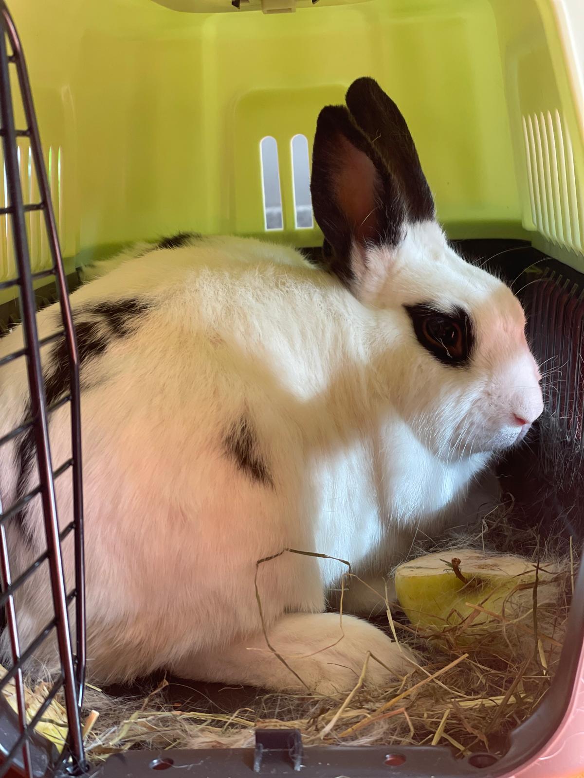 PHOTO-2024-09-20-10-15-54