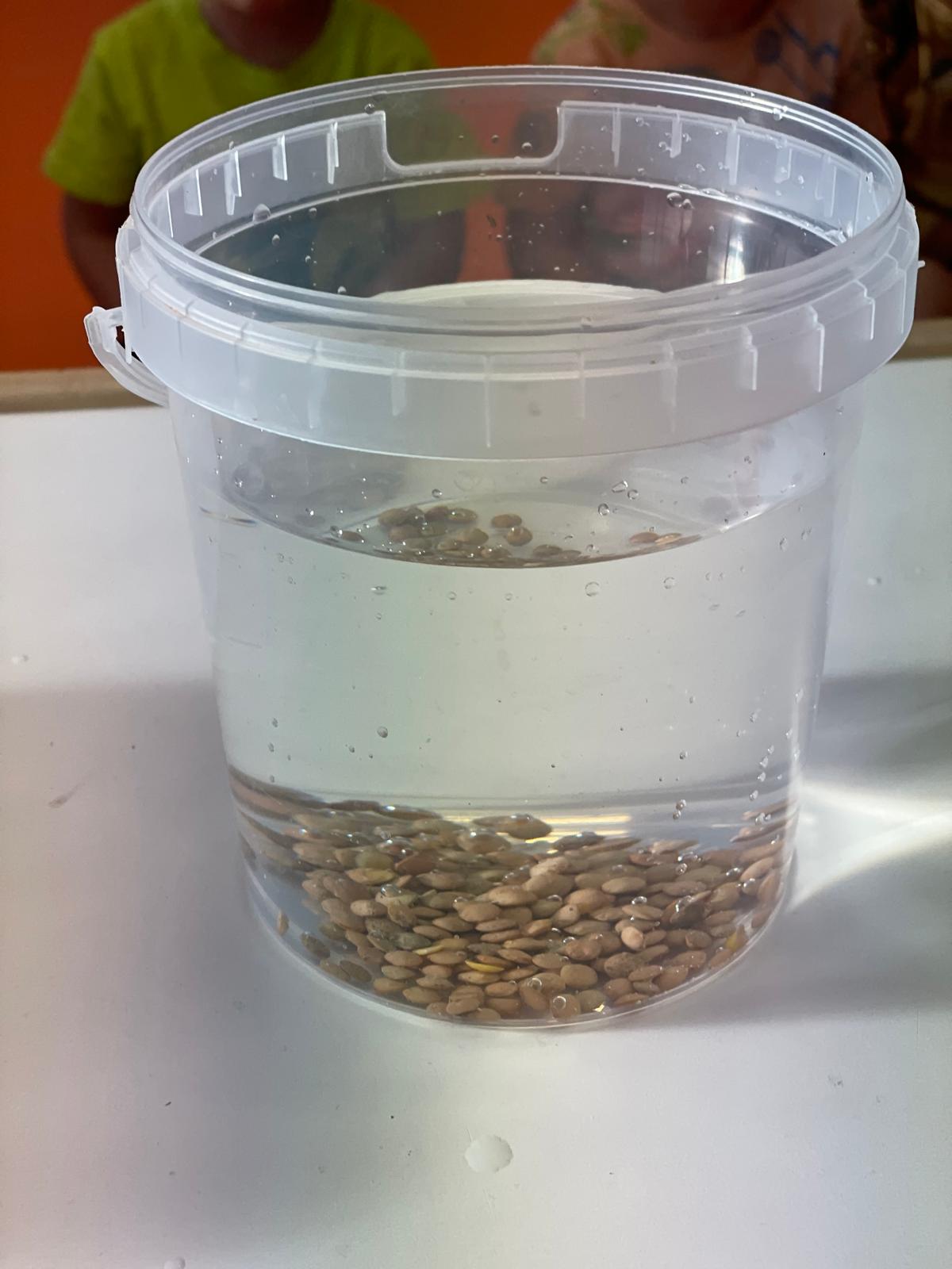 PHOTO-2024-09-25-18-02-34 23 PHOTO-2024-09-25-18-02-34 23