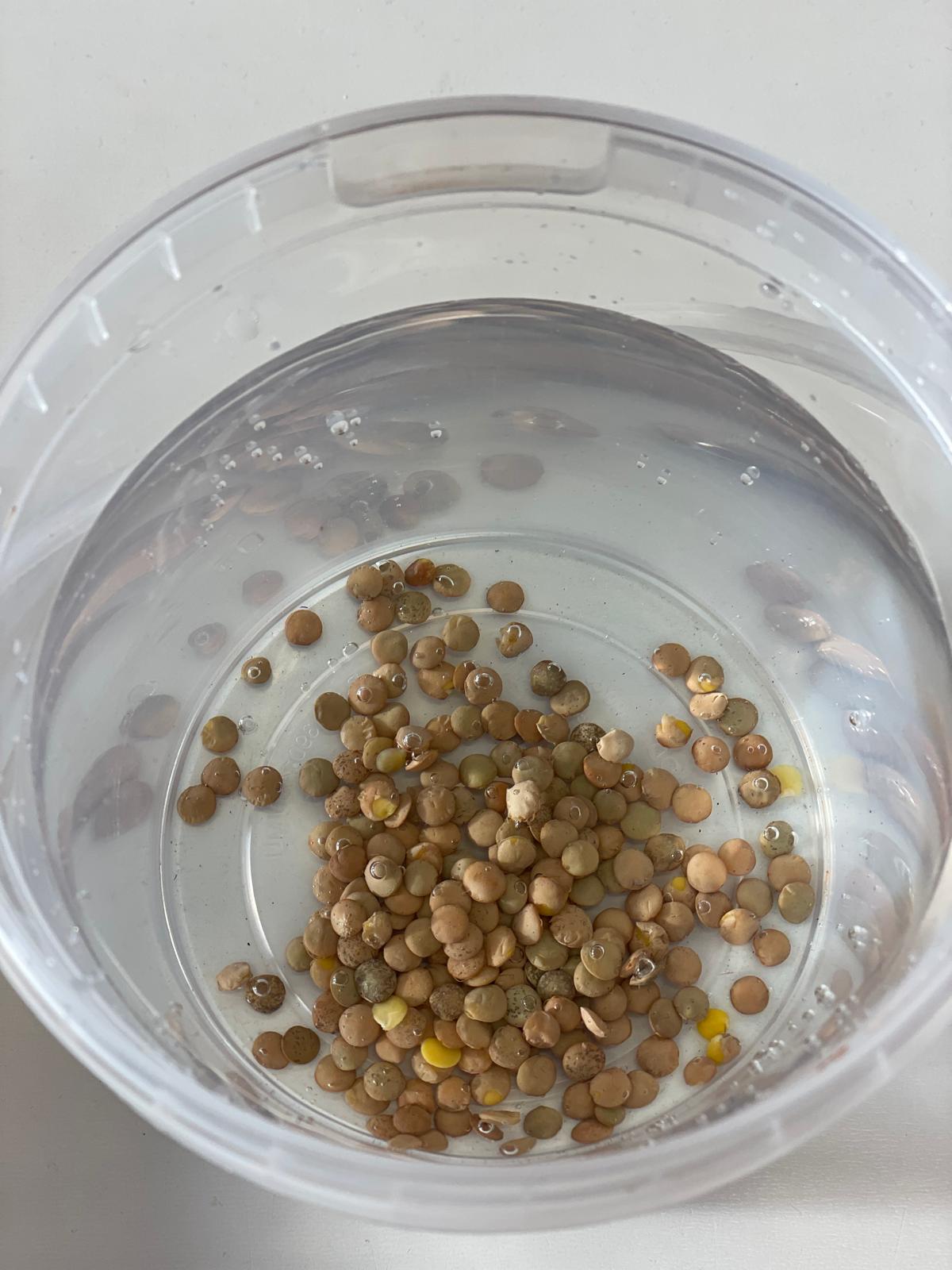 PHOTO-2024-09-25-18-02-34 24 PHOTO-2024-09-25-18-02-34 24