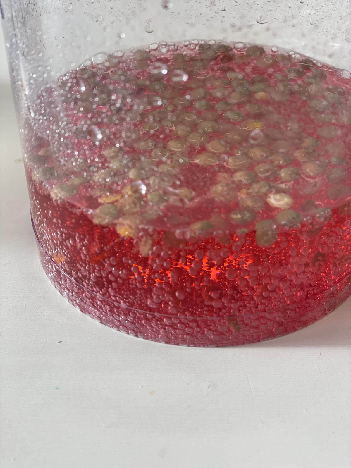 PHOTO-2024-09-25-18-02-34 25 PHOTO-2024-09-25-18-02-34 25