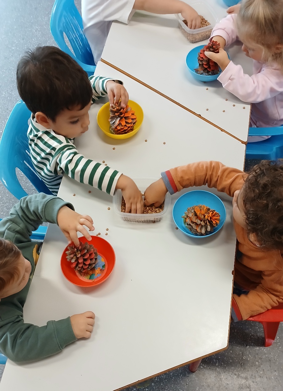 20241011_102055 20241011_102055