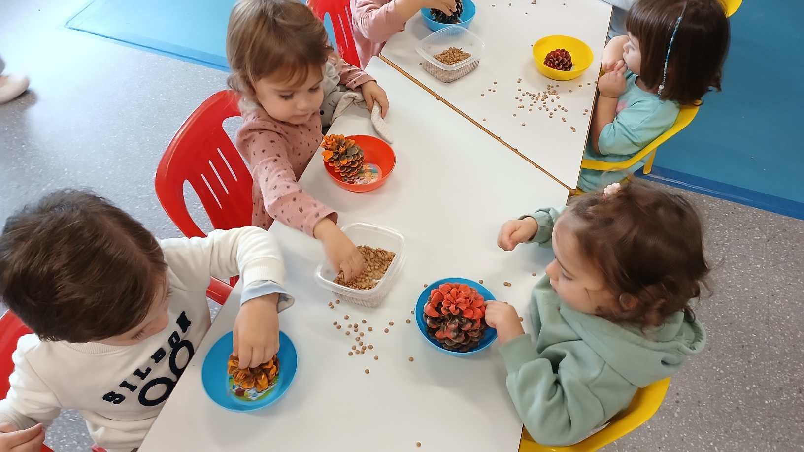 20241011_102211 20241011_102211