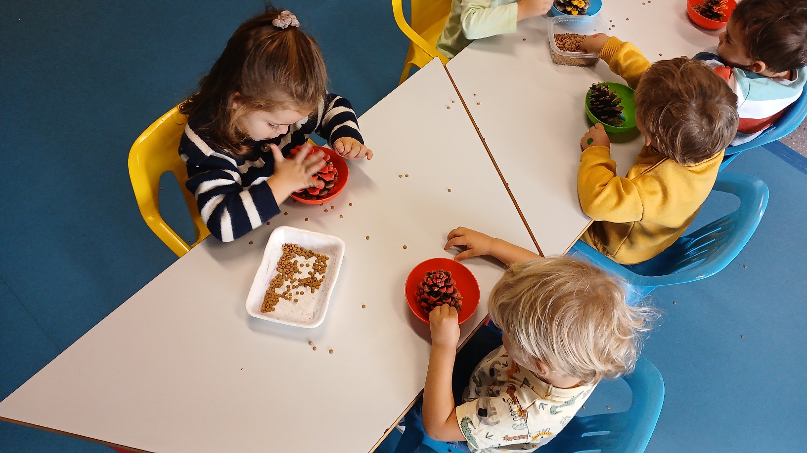 20241011_102424 20241011_102424