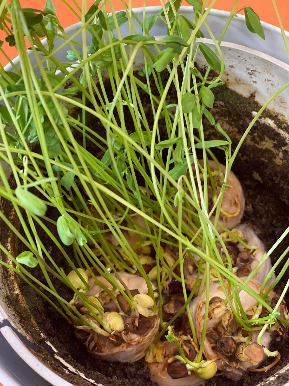 PHOTO-2024-10-18-10-41-21 2