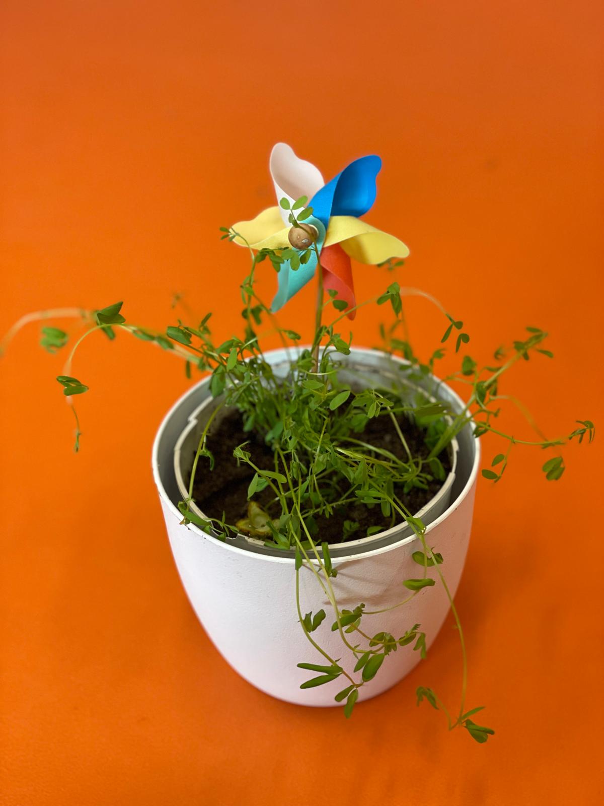 PHOTO-2024-10-18-10-41-21 3