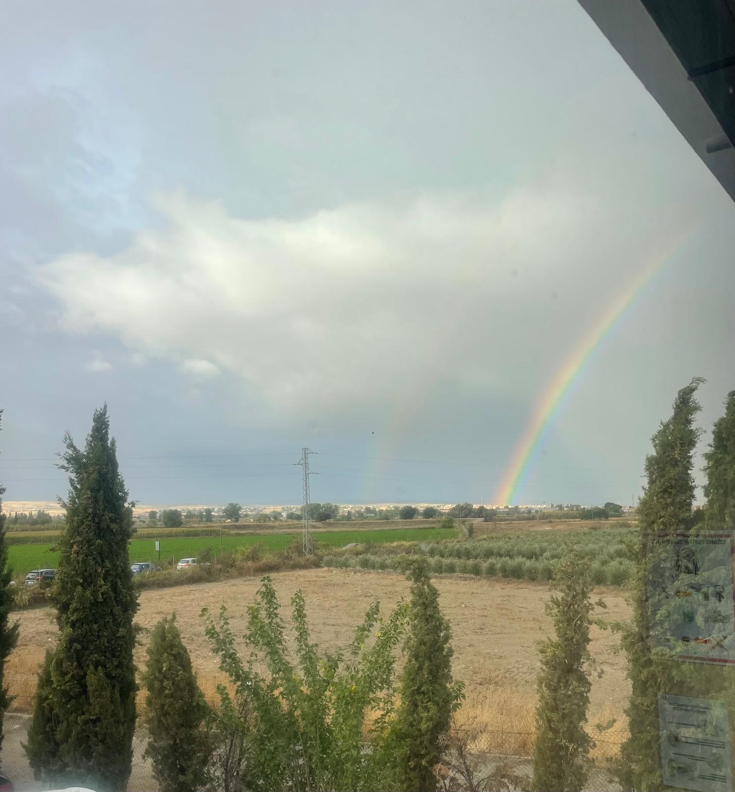 PHOTO-2024-10-18-10-52-16 3