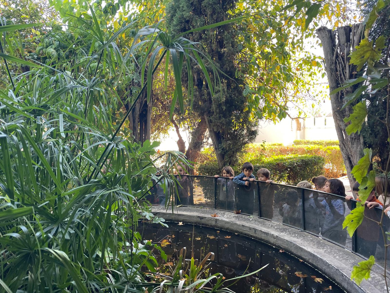 PHOTO-2024-10-18-18-55-12 38