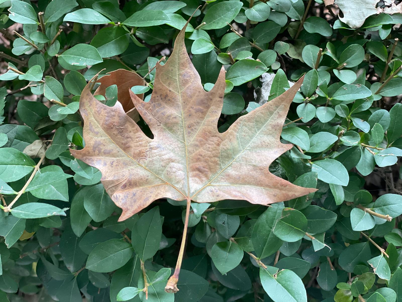 PHOTO-2024-10-27-07-58-12 4